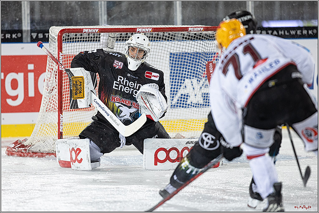 PENNY DEL;  Kölner Haie - Fischtown Pinguins; Köln, 22.12.2022